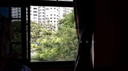 Blk 225A Compassvale Vista (Sengkang), HDB 4 Rooms #635929691